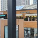 일산참사랑요양병원 이미지