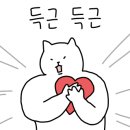 스탠스짐 도산점 이미지