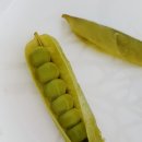 (주)달달콩 이미지