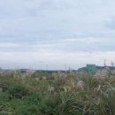 상모리-24 이미지