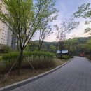 서창캠핑장 이미지