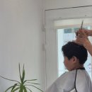 칠룡이가 머리하는 곳