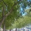 성현미트 이미지