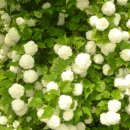 유행정사 사무소 이미지