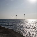 제주집 두모공 이미지