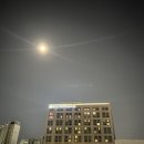 해병대전우회 공중화장실 | 밀리토피아 호텔 리뷰