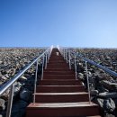 반디캠프 이미지