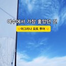 아그리나 B 이미지