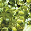 ㈜ 명천 이미지