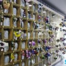 공주나래원 봉안당 이미지