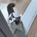 다뽑아가라 이미지