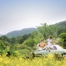 에세이스튜디오