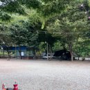 숲속에 머물다 이미지