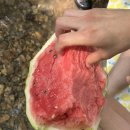 사온누리 이미지