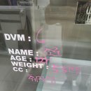 밀양동물메디컬센터 이미지