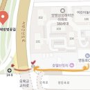 양평역 자전거주차장 | [2026년 벚꽃 명소] 현지인 추천 코스 안양천 벚꽃길 실시간 개화 현황 4월 2일 기준