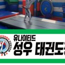 유나이티드 성우태권도장 이미지