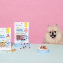 네츄럴플래닛 이미지