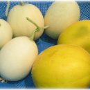 철수농장 이미지