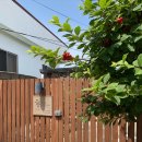 신흥늦장 | 제주 가성비 감성숙소 신흥늦장 후기