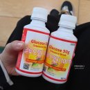 조하컴퍼니 | 몰아서 쓰는 튼튼이 임신 일기