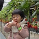 아이와농장 이미지