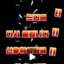 케이엔피컨설팅