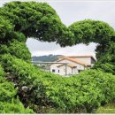 영팔이 황토펜션 이미지