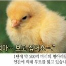 내일 생일기념으로가족 엄빠,나 외식하려구하는데 메뉴추천좀 이미지