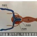 마음을 읽어주는 마음동물병원 이미지