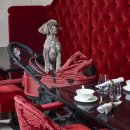 호텔 드 휴식 이미지