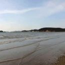 몽산포주차장 이미지