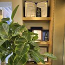 주식회사 사라결혼정보 | 강남 상류층 결혼정보회사 &#34;노블리결혼정보회사&#34; 상담 추천