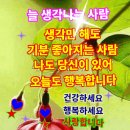 우리 가슴에 좋은 사람 하나 이미지