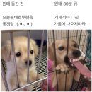 엘빠의 직관기록: 2024 준플레이오프 3차전 직관 후기