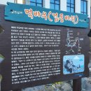 제30회 정기 트레킹 경북 포항 호미반도 해안 둘레길(2026. 6. 27.) 이미지