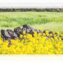 달빛조개 이미지