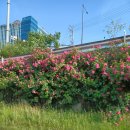 명진해수탕 이미지