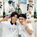 도그라이프 이미지