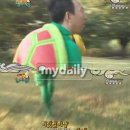 등딱지