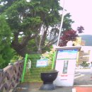 회진명덕초등학교 이미지