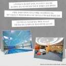 메타테니스