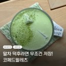 카페팔코 | [동대문] 동대문 카페 코페드팔레츠 말차크림라떼 분위기 좋은 감성카페 후기🍵✨