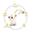 우리 고양이, 총 맞고(?) 반응 폭발★ 고양이 총 장난감 후기!