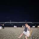 동부산팜 | [부산] 강아지와 함께 한 광안리 2박 3일, 반려견 동반 식당/숙소 후기