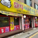 돼지새마을운동 이미지