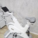 신세계바이크 | 실내사이클 자전거 멜킨 스핀바이크 3주 사용 후기 운동 루틴 바뀐 이유