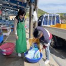 대천항수산물시장 이미지