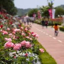 장미공원자전거대여소 이미지