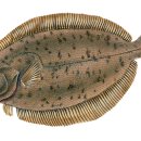 화곡로 63길 이미지